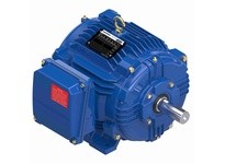 Marathon U1870B 215TTTCD16541 10 1800 TEAO 215TV 3 | YarinInd