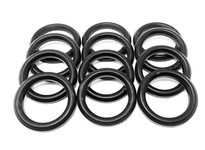 Flowtrend 127307 216-C Packing Plunger Garlock (12/PK)