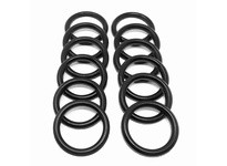 Flowtrend 127297 216-R Packing Plunger Garlock (12/PK)