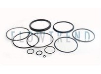 Flowtrend 121039 221-002234 Vlv Svc Kit M_O/06 4.0 | YarinInd