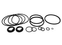 Flowtrend 121289 221-519.03 Vlv Svc Kit D 100/4" FPM | YarinInd