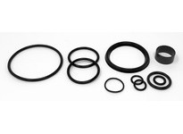 Flowtrend 121412 221-528.29 Vlv Svc Kit NA/S 40/50 1.5/2" EPD