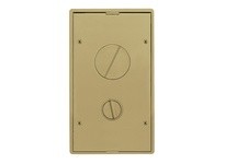 Hubbell Wiring 24GTFFCVRBRS 2/4G TILE FF CVR BRASS | YarinInd