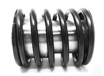 Flowtrend 103265 25-361-210-07 300 Spring Assembly | High-Quality Industrial Supplies