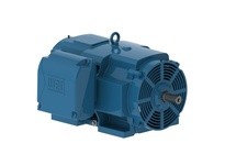 WEG 25012OT3G447/9T 250 HP 1200 3 60 460 ODP-Nema Pr.