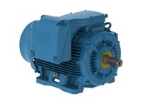 WEG 25018ET3GKD449T-W22 250HP 1800 3 60 460