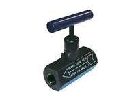 250669 MOLD-GLOBE VALVE