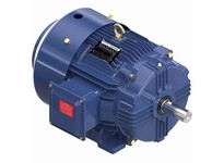 Marathon GT1025A-P 256TTFCD6070 20 1800 TEFC 256T 3/60/230/460