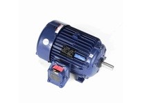 Marathon E505A 256TTGCD6501 20 3600 EPFC 256T 3/60/230/460 | High-Performance Motor