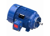 Marathon C501 256TTGCD6528 20 1800 EPFC 256TC 3/60/230/460