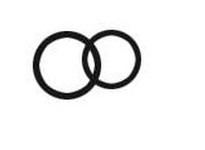 DODGE 276134 O-RING T2