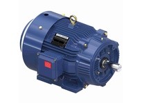 Marathon GT12127 284TTFCD6001 25 3600 TEFC 284TC 3/60/230/460