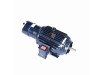 Marathon 284TTFCD6029 25, 1800, TEFC, 284T, 3/60/460V