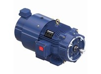 Marathon Y582A 286THFCD8086 20 1200 TEBC 286TC 3/60/230/460 | Industrial Motor