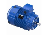 Marathon W067-P 286THFCD9040 30 1800 TEFC 286TCV 3 | YarinInd