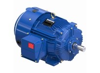 Marathon W555A 286THFCD9076 20 1200 TEFC 286T 3/60/460