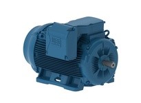 WEG 30012ET3G449T-W22 300HP 1200 3 60 460V TEFC-NEMA Pr | High-Performance Motor