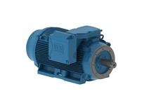 WEG 30018ET3G449TC-W22 300HP 1800 3 60 460 TEFC-NEMA | Reliable Industrial Motor