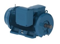 WEG 30018ET3H449T-W22 300HP 1800 3 60 575 TEFC-NEMA | High-Performance Motor