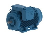 WEG 30036ET3Y355M/L-W22 300KW 3600 3 60/50 460//380-41 IEC-CI | YarinInd