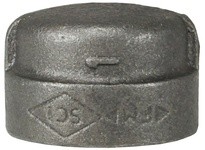 Dixon 300MICAP75 NPT Threaded Cap