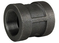 Dixon 300RHC200 NPT Threaded Coupling