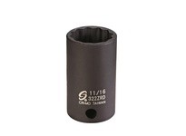 Sunex Tools 322ZRD 3/8" Dr. 11/16" 12pt Semi-Deep Impact Socket | Durable & Reliable