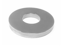 Flowtrend 112685 325099 Puma Backplate SS Lapped One Side | Quality Industrial Supplies