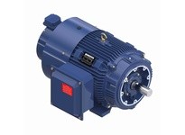 Marathon Y586A 365THFCD8380 50 1200 TEBC 365TC 3/60/230/460 | Industrial Motor