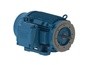 Goulds 3SV13NF4F60 3HP 2/60/3 TEPE 360 13STG | High-Performance Pump