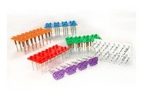 Flexco 42075 Rapid Loader Collated Rivets, Size BR6, 32 Strips / 768 Rivets per Bucket, Green Color, D Rivet Size, Stainless (Ty