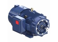 Marathon Y589A 444THFCD8384 100 1200 TEBC 444TC 3/60/230/460 | YarinInd