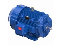 Marathon W604B-P 444TSHFCD9002 125 3600 TEFC 444TS | YarinInd