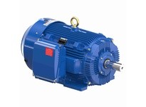 Marathon W618A 445THFCD9038 200 1800 TEFC 445T 3/60/460 | High-Performance Motor