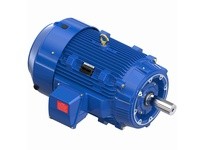 Marathon W112-P 445THFCD9040 150 1800 TEFC 445TCV 3/60/460