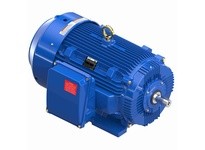 Marathon W616A 445TSHFCD9005 200 3600 TEFC 445TS 3 | YarinInd