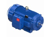 Marathon E769A 449TSTFCD6501 350 3600 TEFC 449TS 3 | YarinInd