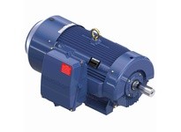 Marathon GT1075 449TTFCD6077 300 1200 TEFC 449T 3/60/460