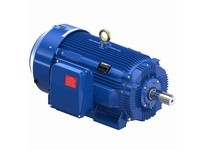 Marathon E770A 449TTFCD6530 200 1800 TEFC 449T 3/60/460