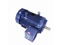 Marathon E856A 449TTFCD6564 200 1800 TEFC 449T 3/60/575 | High-Performance Motor