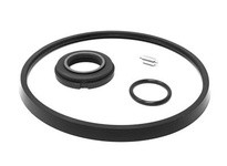 Flowtrend 102462 481237 SP216-1 Pump Svc Kit #1 (FPM)