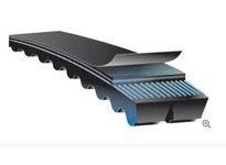 Dodge 481537 RBX83-4 Belt Drive Components | YarinInd