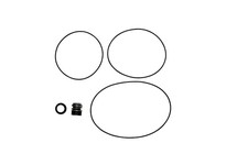 Grundfos 485278 SEAL & GASKET KIT LM LP 22MM BBUE