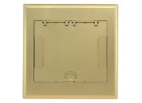 Hubbell Wiring 4GAFBCVRBRS AFB CVR 4G FLUSH BRASS POWDER | Industrial Supplies