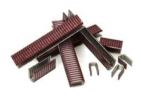Flexco 50144 Alligator Size RS125 Related Parts, Extra Staples | YarinInd