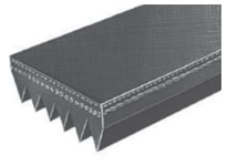 Jason 565L8 MULTI-RIB | High-Quality Industrial Belt