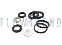 Flowtrend 113877 58-34-343/01 RG41 Svc Kit 1.0" EPDM | YarinInd