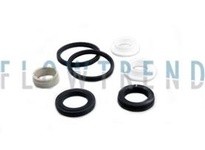 Flowtrend 113965 58-34-502/01 RGE41 Svc Kit DN50/2.0" EPDM | High-Quality Industrial Supplies