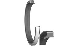 Dichtomatik AM43-16X22X3 67016498 WIPER METAL CLAD D STYLE NITRILE 90 DURO WIPER METRIC