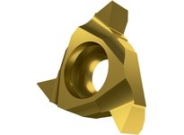 Pramet TN 16NLG55:T8030 6755541 Threading Insert | Internal Partial Profile - 55° Whitworth Thread